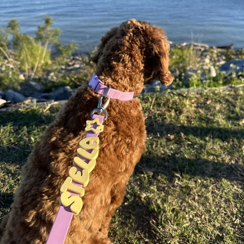 Woof Woof™ Halsbåndet