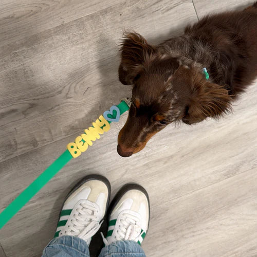 Woof Woof™ Halsbåndet