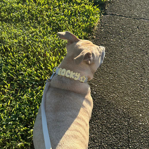 Woof Woof™ Halsbåndet