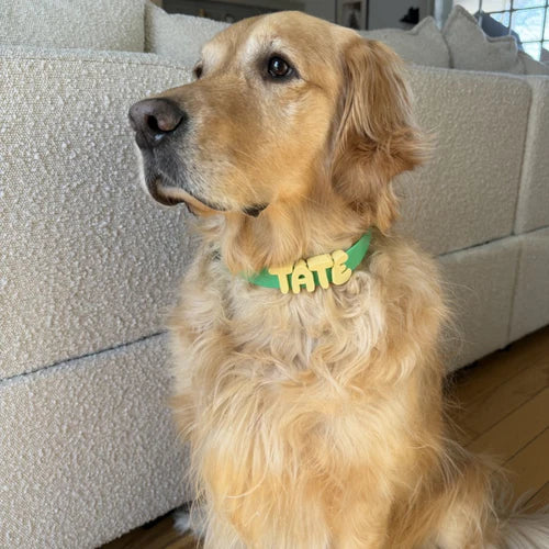 Woof Woof™ Halsbåndet